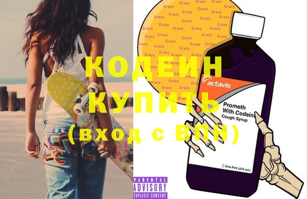 шишки Верхний Тагил