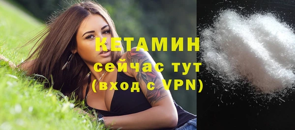 крисы Сосновка