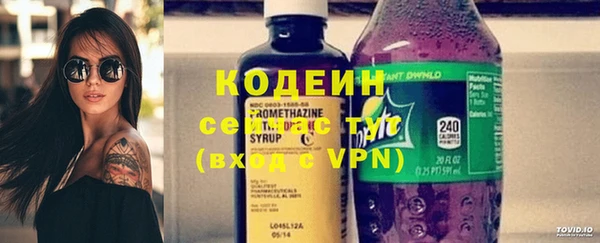 прущие крисы Бородино